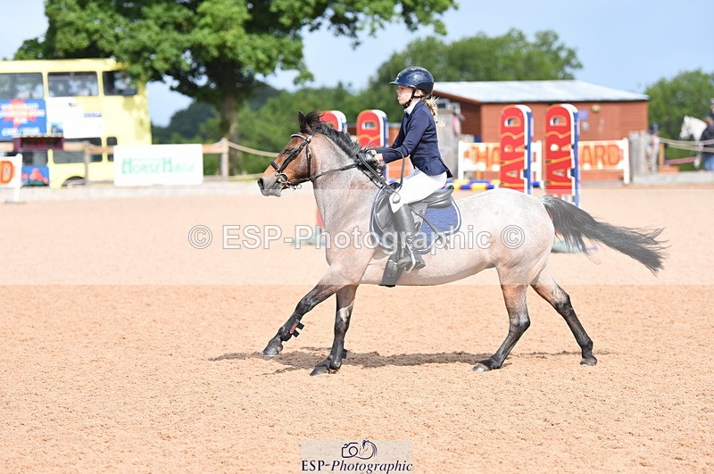 230716A-100312-01941 - Cls 35 Springboard 128cm & 138cm