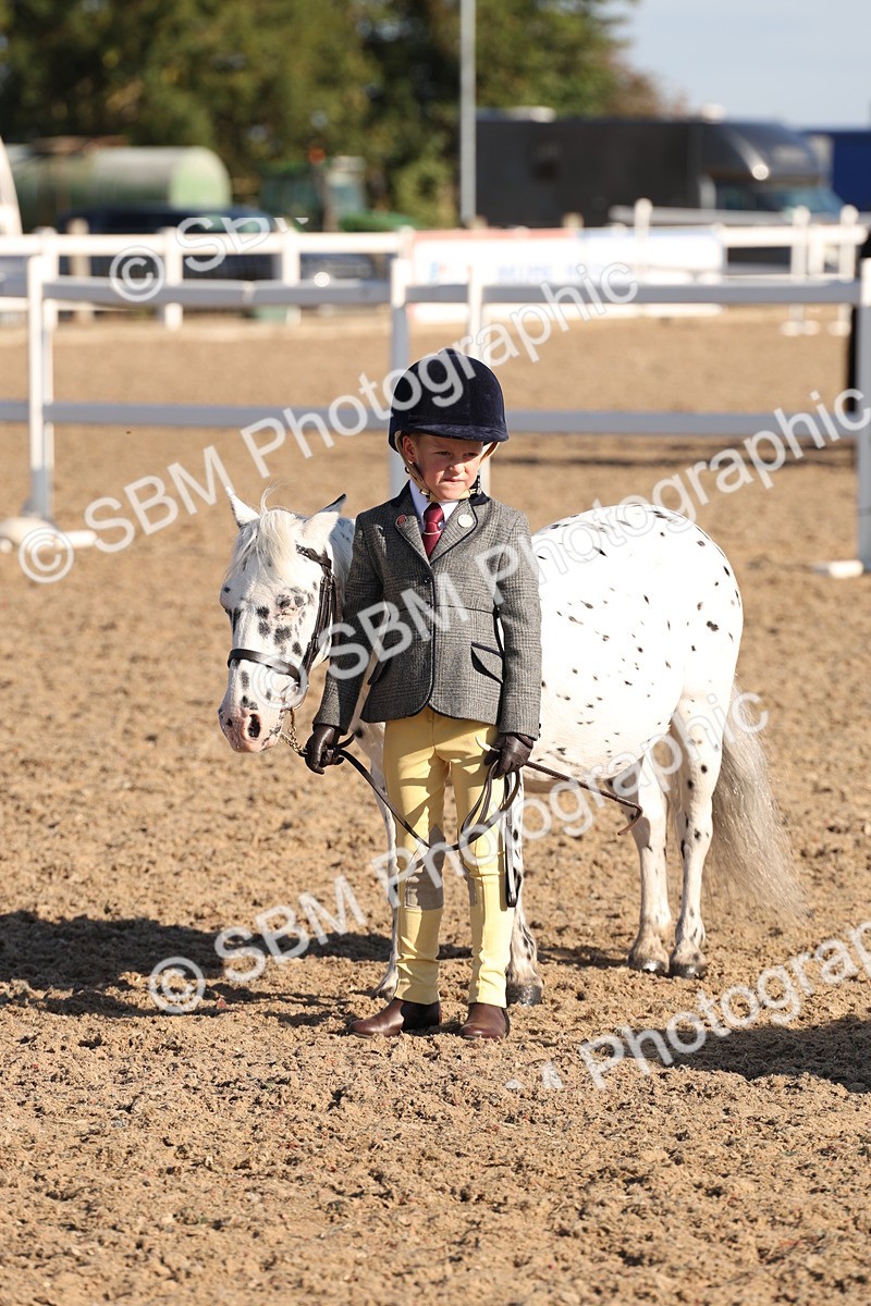 SBM_11664 - Class 203 - Young Handler 11 to 16 years
