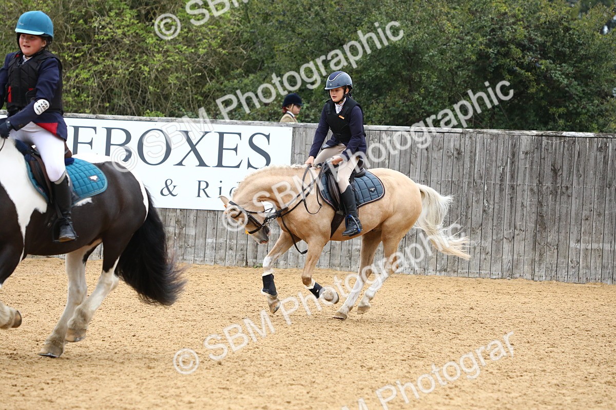 SBM_60207 - J63 - Junior Pony 50cm Championship