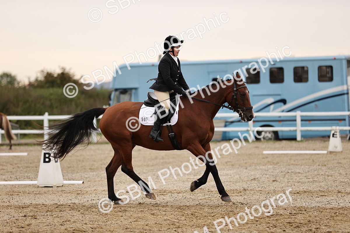 SBM_000460 - Prelim 3