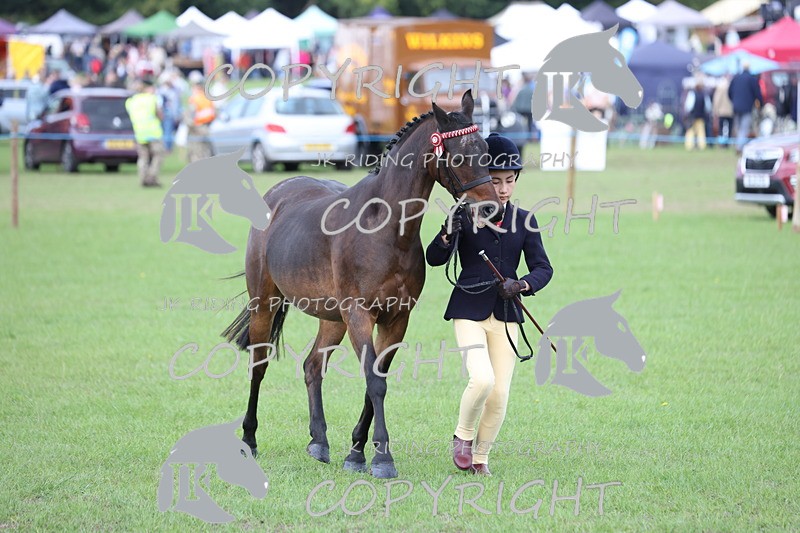 APP_2634 - Class 9 Veterans in hand