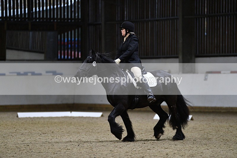 WJ5_8532 - Class 5 Novice Test 3