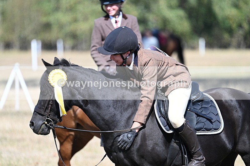 WJ7_4167 - Class 9 Mountain & Moorland Ridden