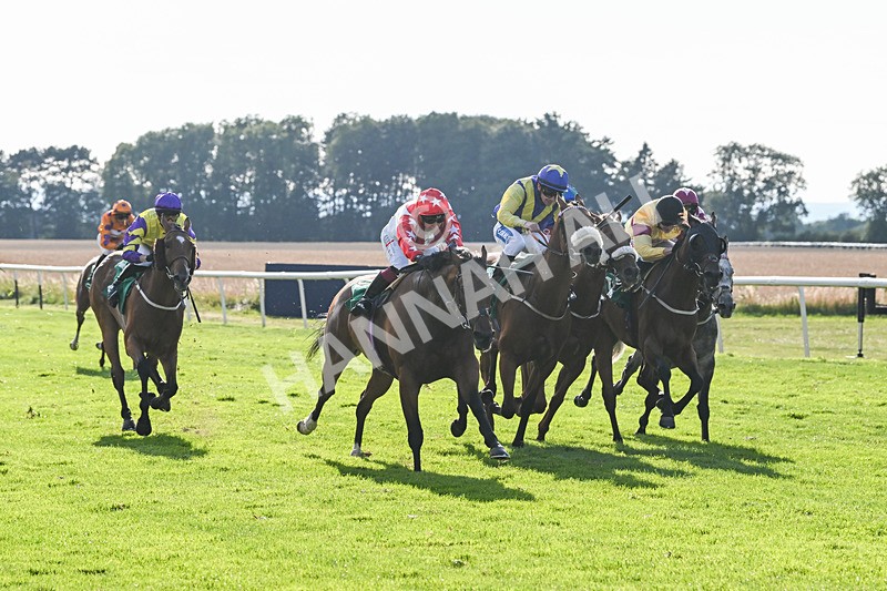020825-Race 8-Dandy Dinmont-3894 - Race 8