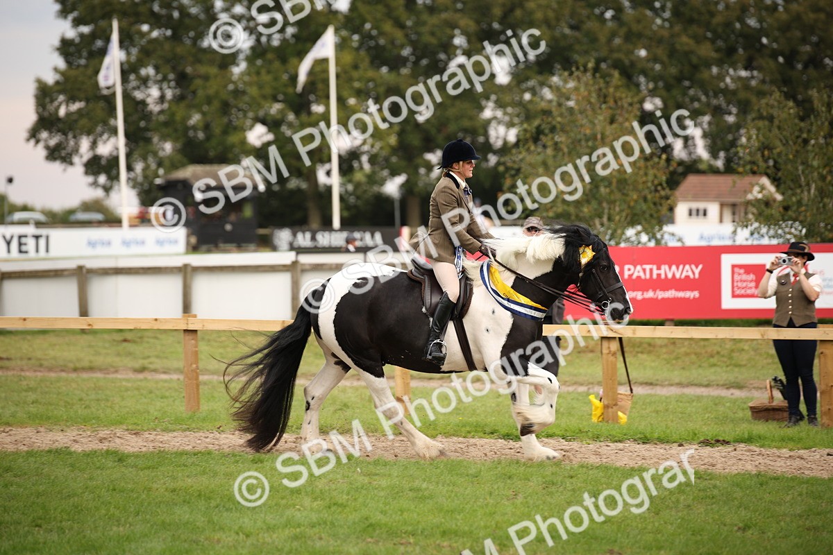 SBM_73670 - Ridden Horse Supreme Championship
