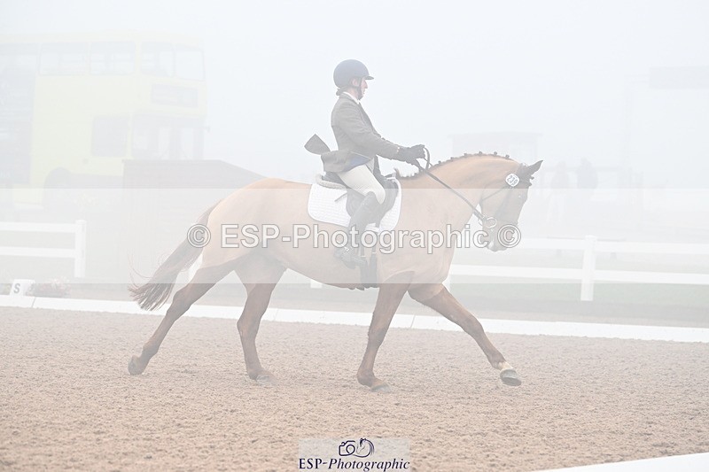 240217A-130509-02742 - 239-Sophie.Hawke-Dionysus