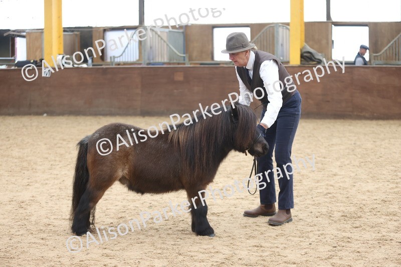 20251109-0380 - Class 14 - Geldings 4 Years and Over