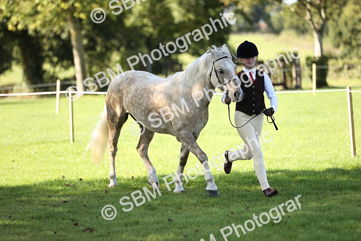 SBM_15947 - S1 - TSR in Hand Horse & Pony Showing