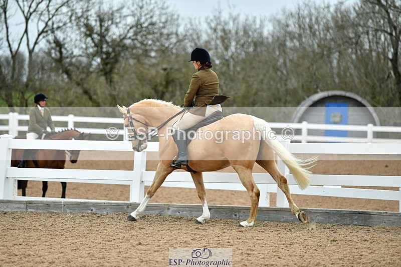 230416A-134310-04924 - Cls 60 Ridden Show Horse