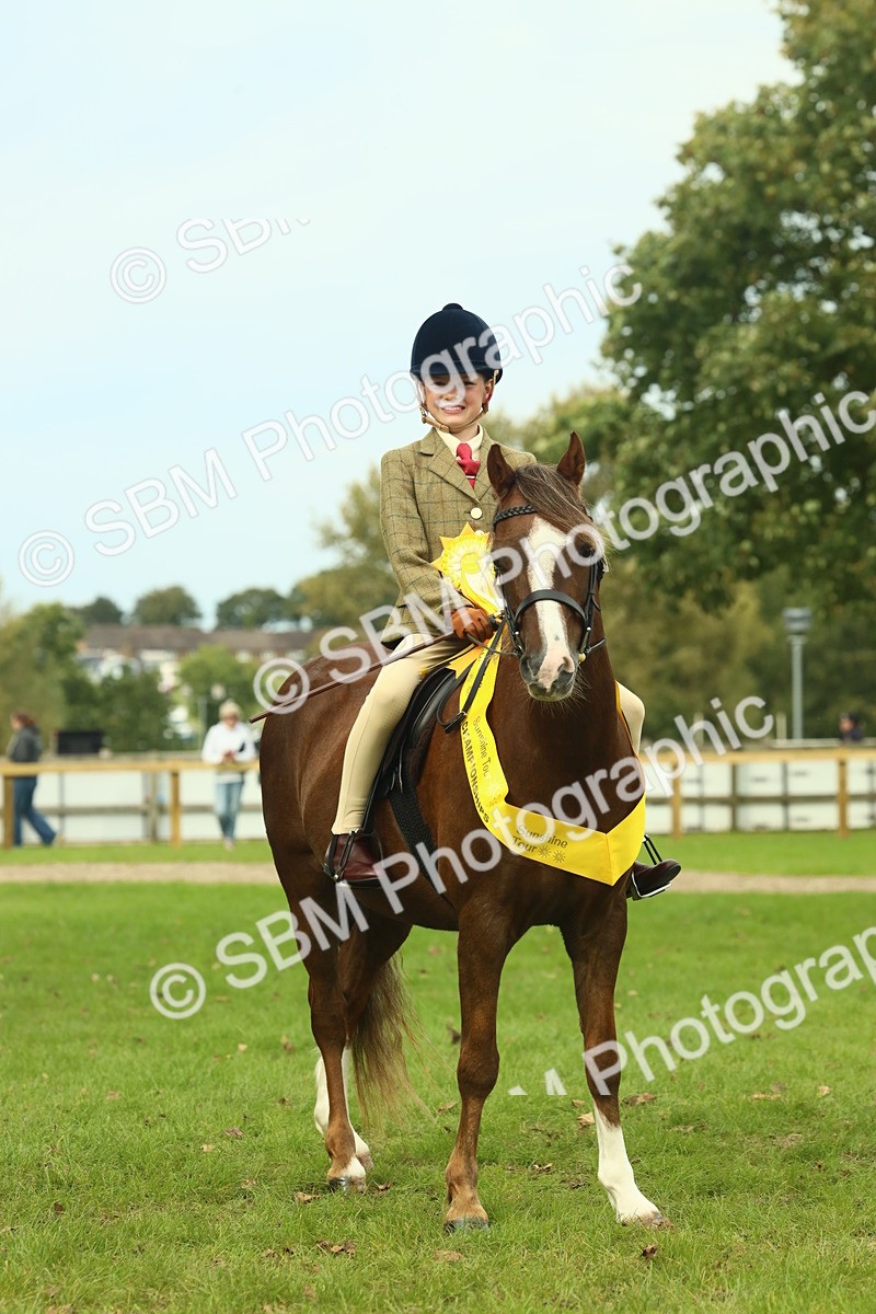 SBM_70018 - S59 - Mountain & Moorland Ridden Small Breeds
