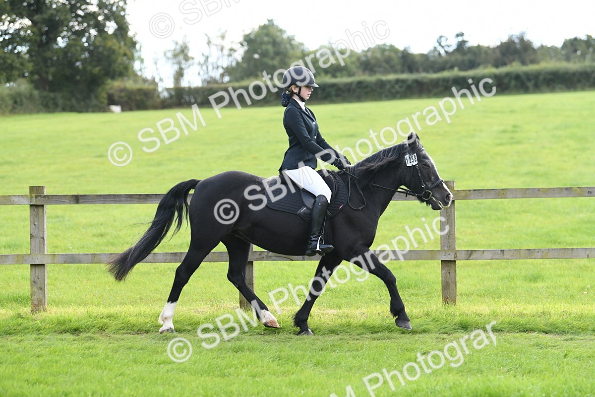 SBM_46728 - S12 - Family Horse & Pony