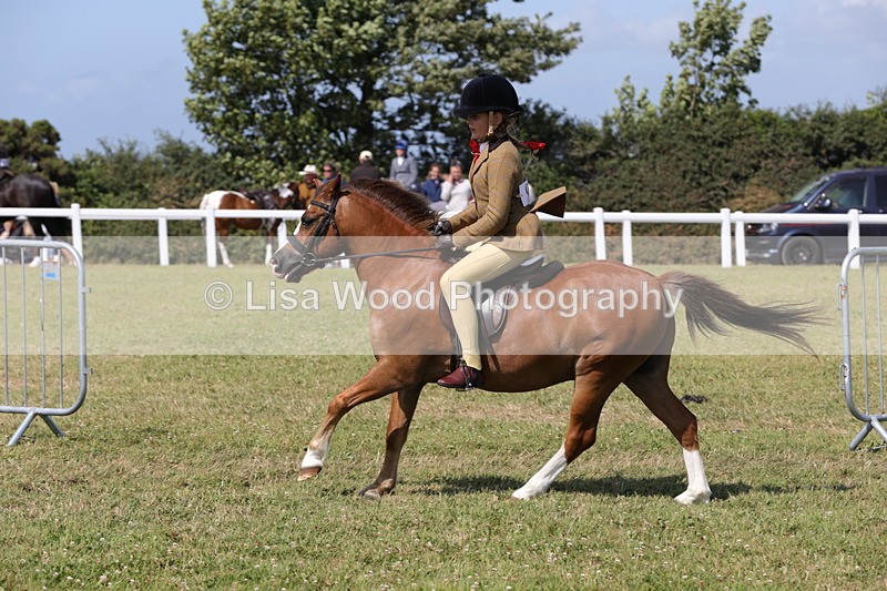 1X9A5420 - Class 37: NPS M&M First Ridden