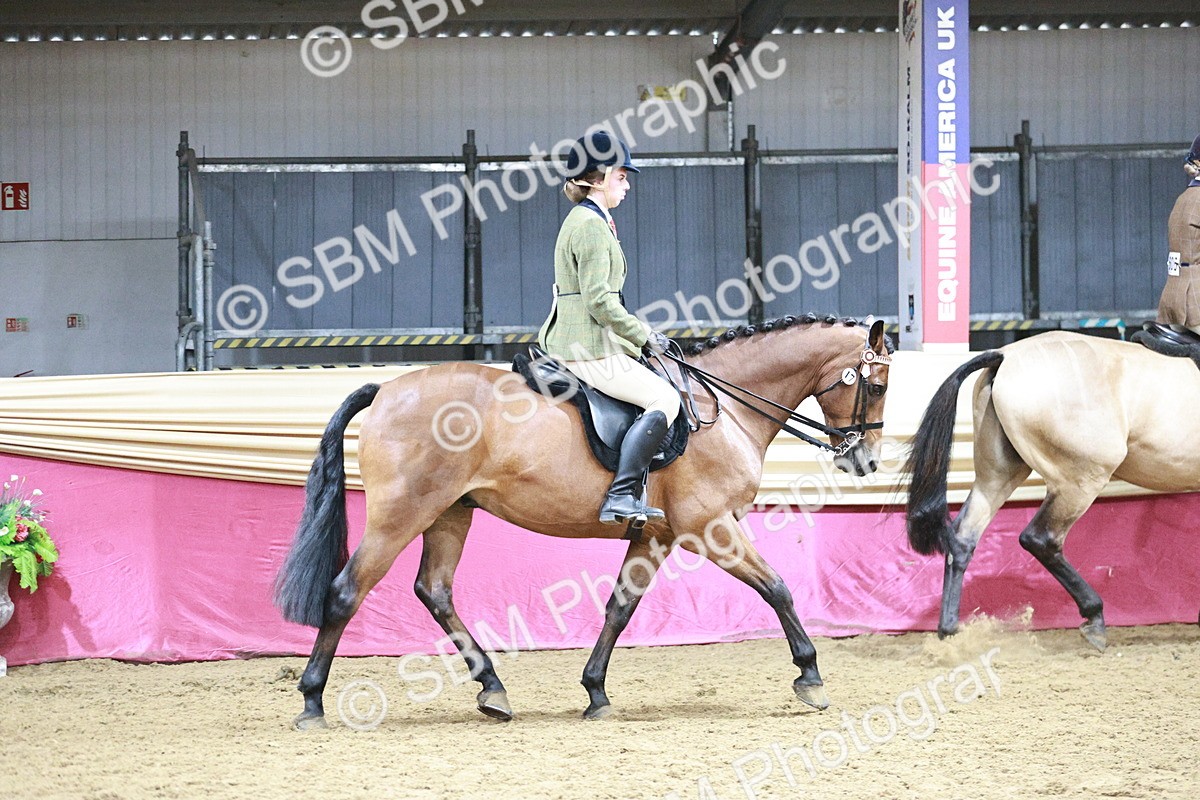 SBM_03330 - Class 6A Area Ridden Pre-Vet