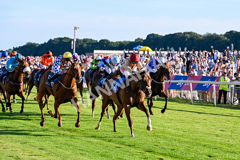 240726-Race 4-Rajaking-5340 - Race 4 19.15pm Tomahawk Handicap