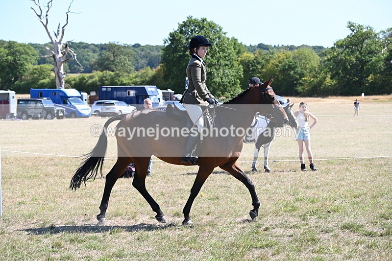 WJ6_8362 - Class 37a Best Loan Pony Ridden