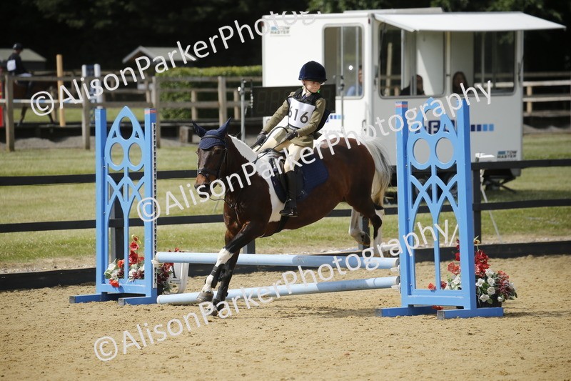 20250622-3781 - 50cm