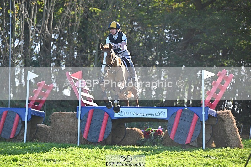 241026-140829-13865 - 502-Alison.Stewart-RICO.III