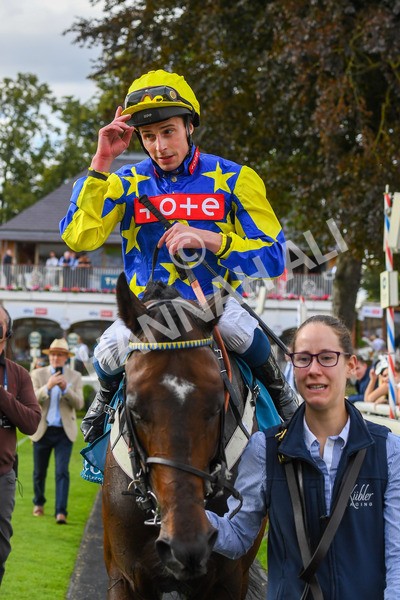 260823-Race 7-Astro King-1112 - Race 7 Sky Bet Finale Handicap at York