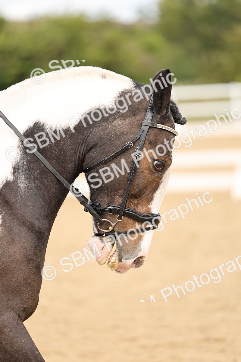 SBM_002723 - Class 6a - Novice 5 - 11.53-14.27