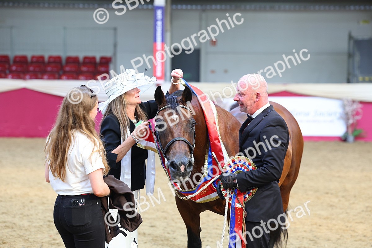 SBM_24993 - Grand Supreme Final Overall Champion