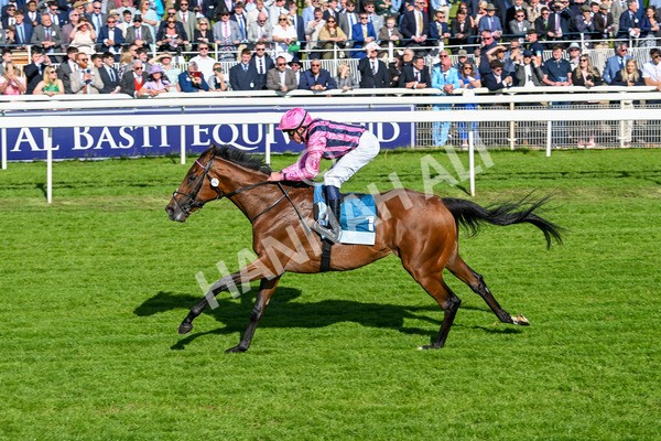 160525-Race 6-Bowmark-7185 - Race 6 4.55pm Darley EBF 'Confined' Novice Stakes