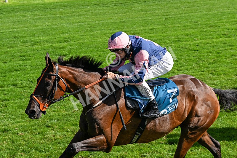 060926-Race 3-Moon Chime-0219 - Race 3 2.40pm Hanson Springs Stayers Handicap