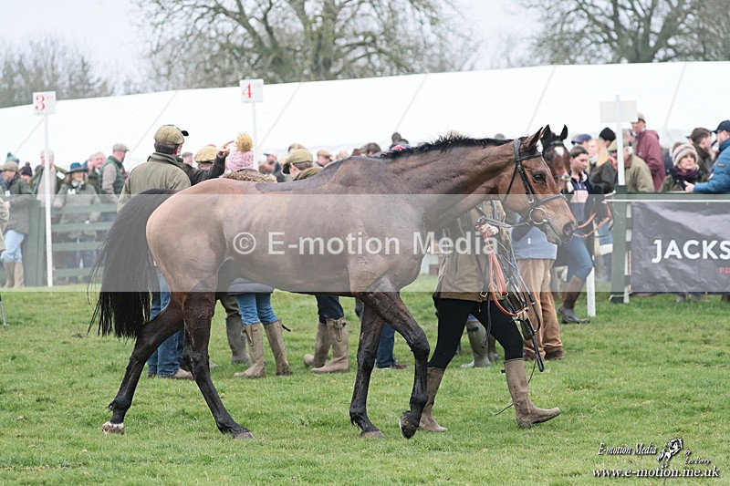 PtP 080326 238 - Pytchley with Woodland Point-to-Point Guilsborough 08/03/26