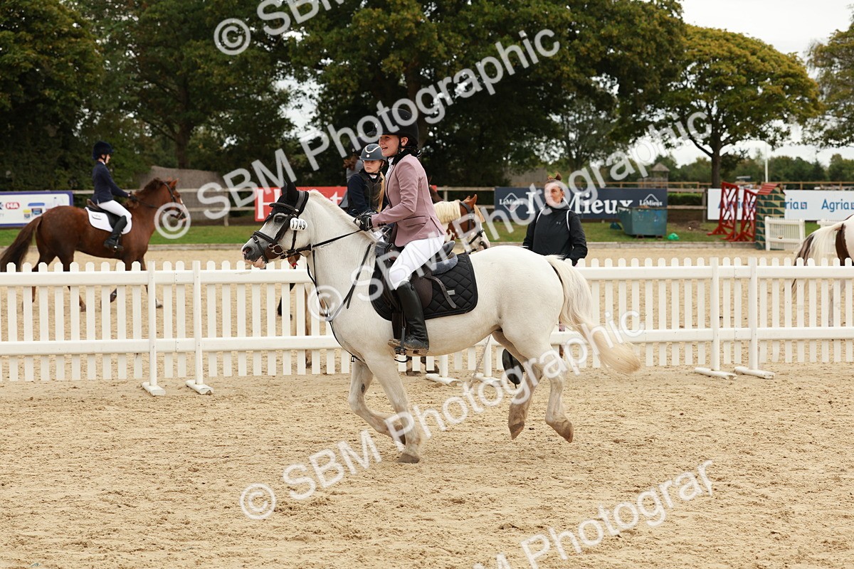 SBM_65363 - Supreme Championship 50cm & 55cm