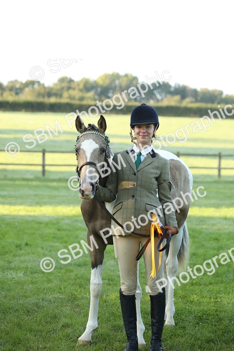 SBM_57872 - S42 - Youngstock