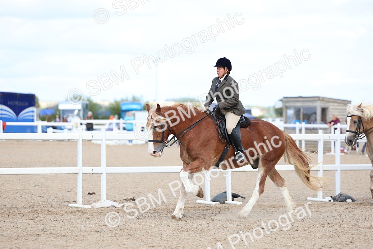 SBM_17175 - Class 315 - Best Horse - Rider Combination