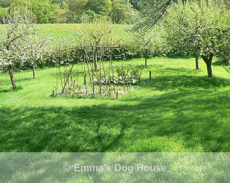  - House and Grounds