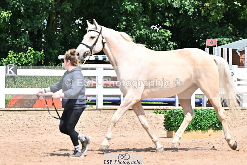240718A-105315-01762 - Trot Up 1pm to 2pm