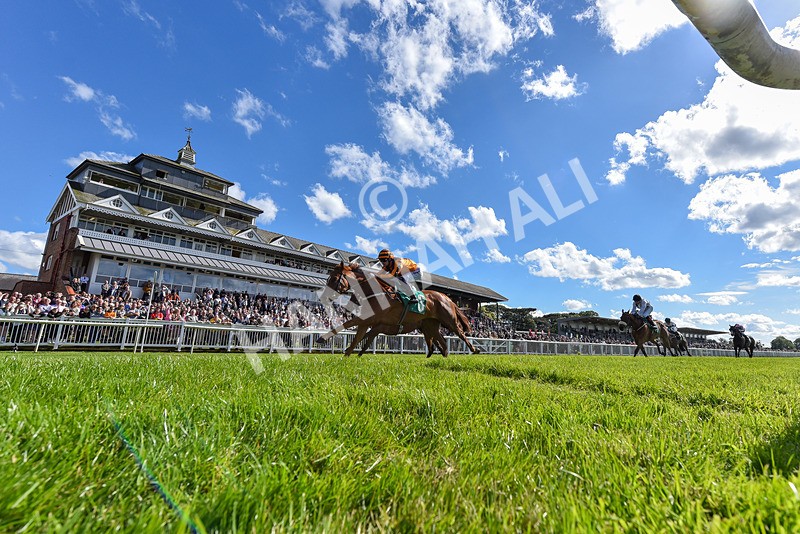 160624-Race 3-Mereside Diva-8499 - Race 3