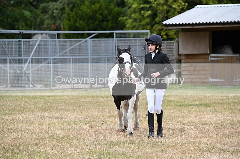 WJ6_4218 - Class 10 Coloured In-hand