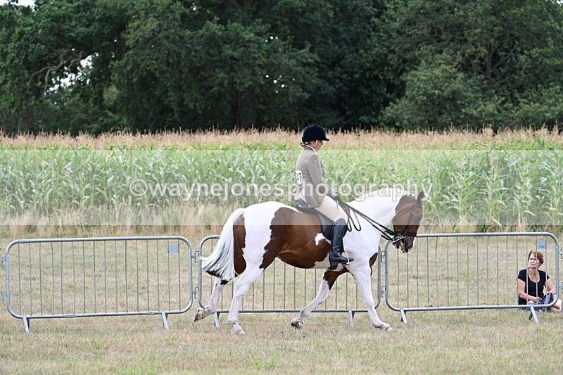 WJ7_5240 - Class 12 Ridden Cob