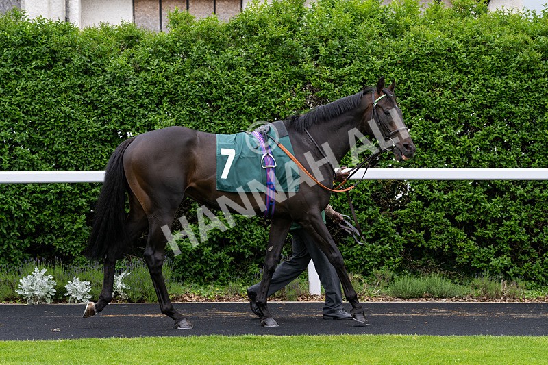 230524-Race 3-See The Green-1402 - Race 3