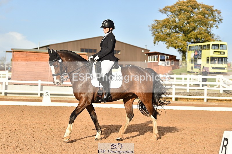 231104A-135816-01977 - Cls 10 Medium 61