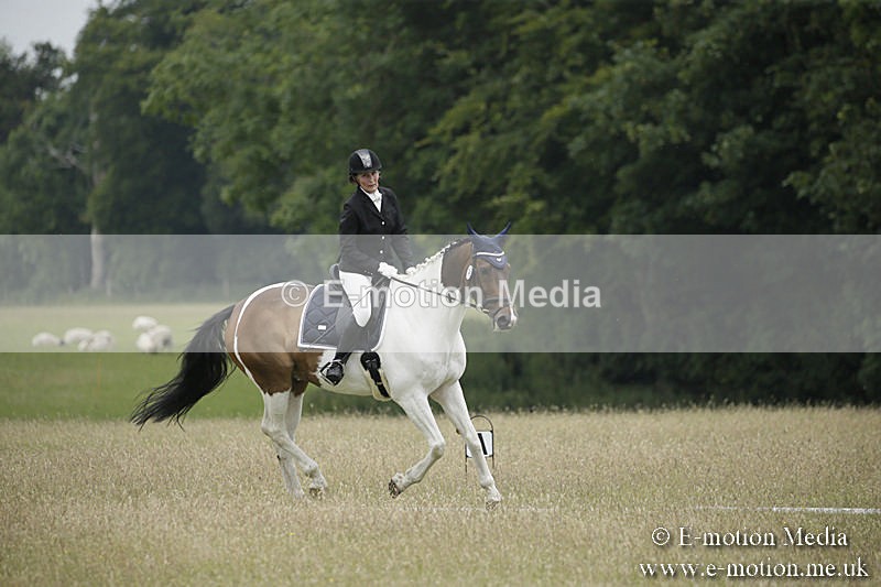 B230619-0642 - Bourne Valley Riding Club Summer Show 23/06/19