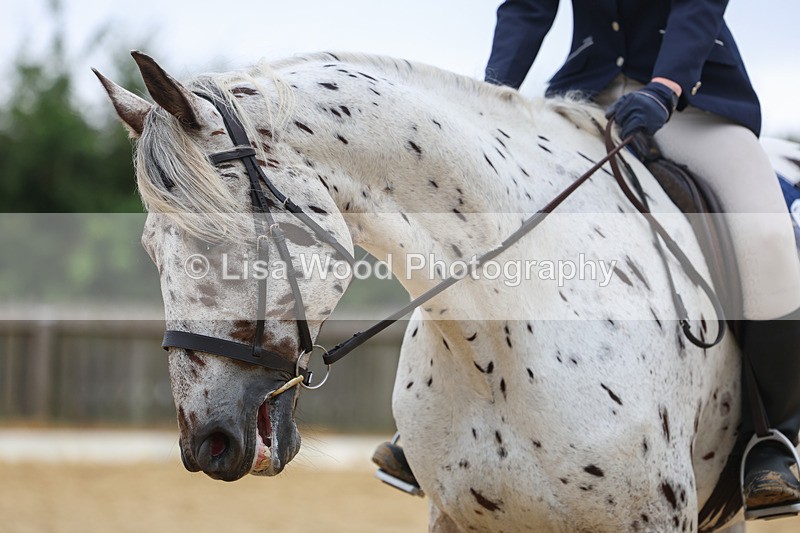 3E7A4956 - Class 1: Intro 4 2024 section A