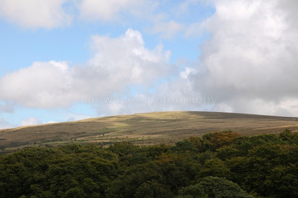 Dartmoor _ DR 27 - Dartmoor, Devon