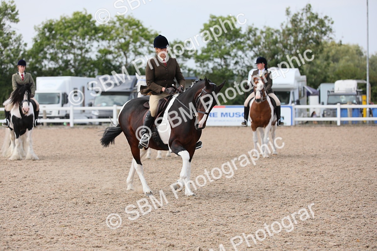 SBM_13459 - Class 308 Ridden Coloured Horse