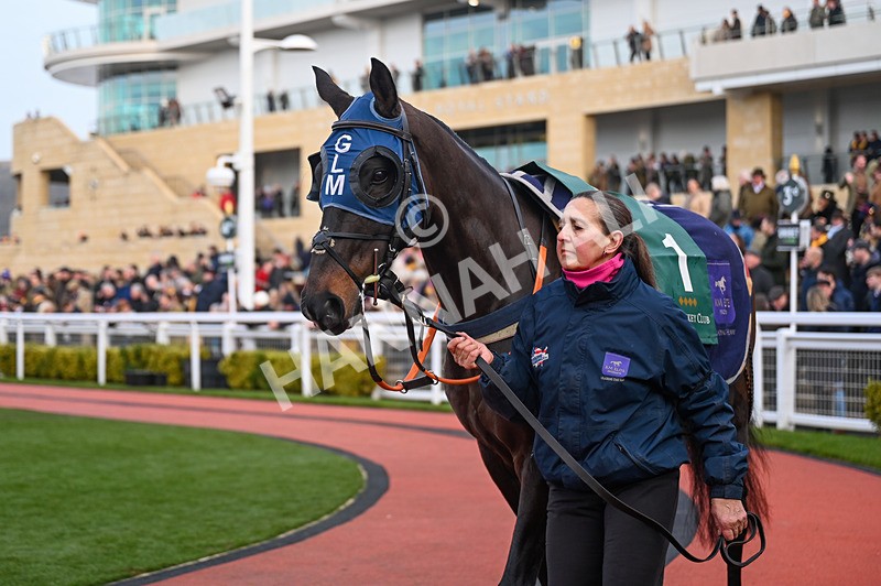 250125-Race 6-Botox Has-3679 - Race 6