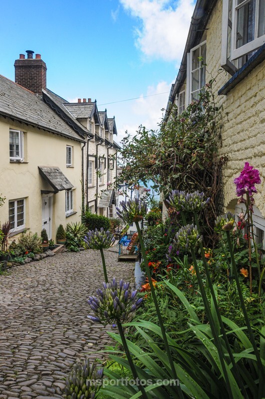 Clovelly - Travel, city/land scapes