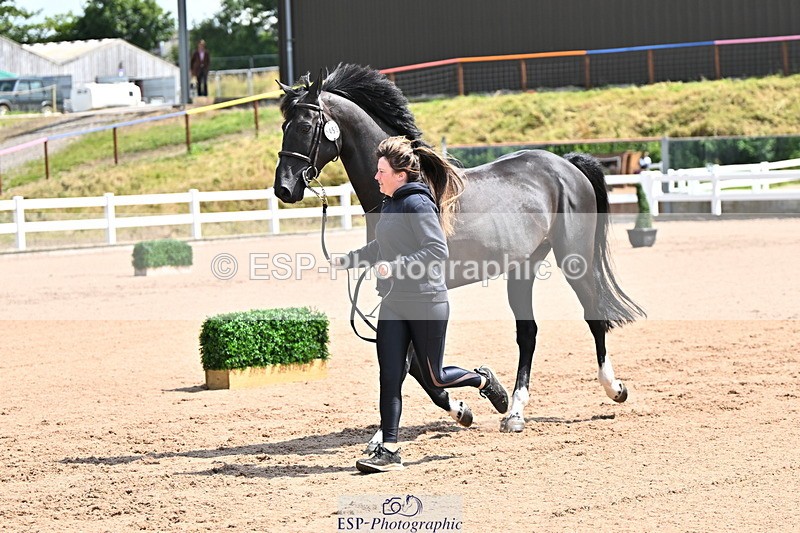 240718A-105241-01027 - Trot Up 11am to 12pm