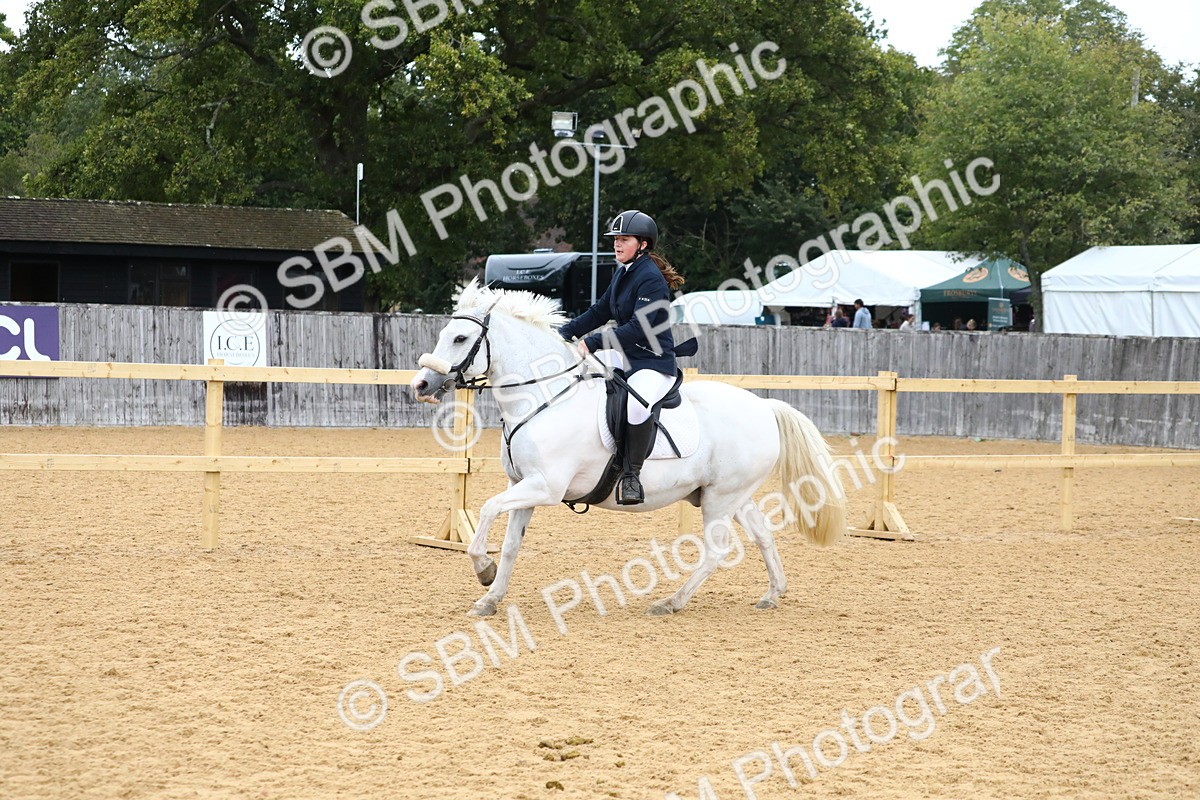 SBM_62312 - J64 - Junior Pony 60cm Championship