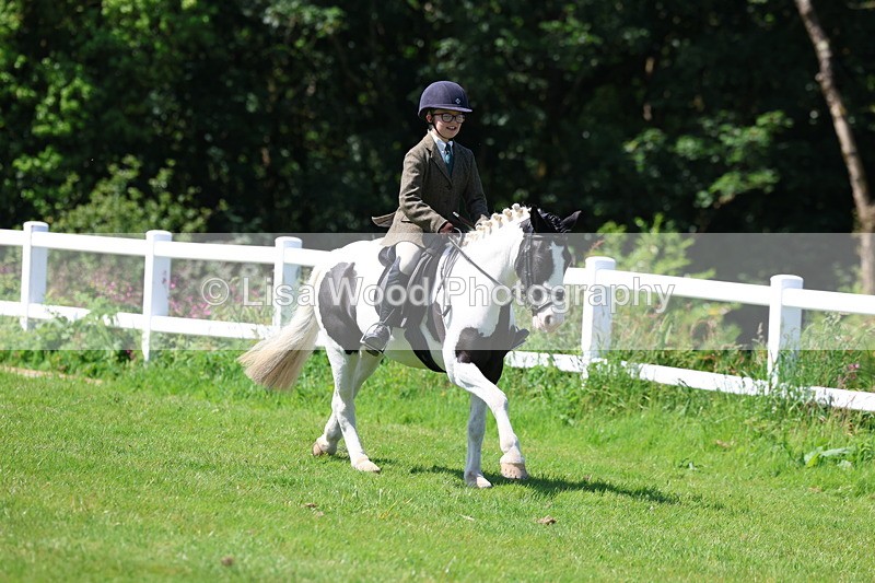 3E7A6744 - Working Hunter Pony Championship