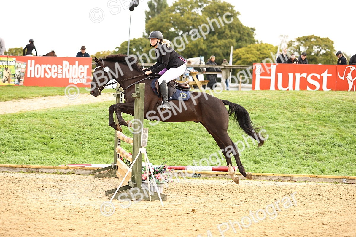 SBM_58475 - J41 - Grand Tour Horse & Pony 95cm