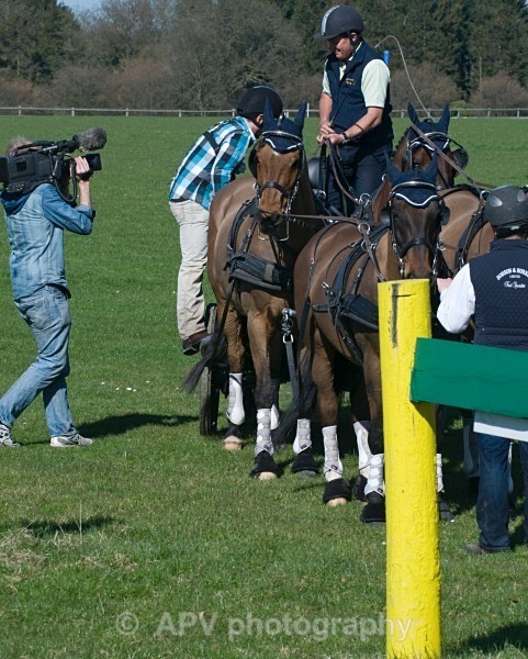 _DSC0301 - Ashfields Carriage & Polo Club