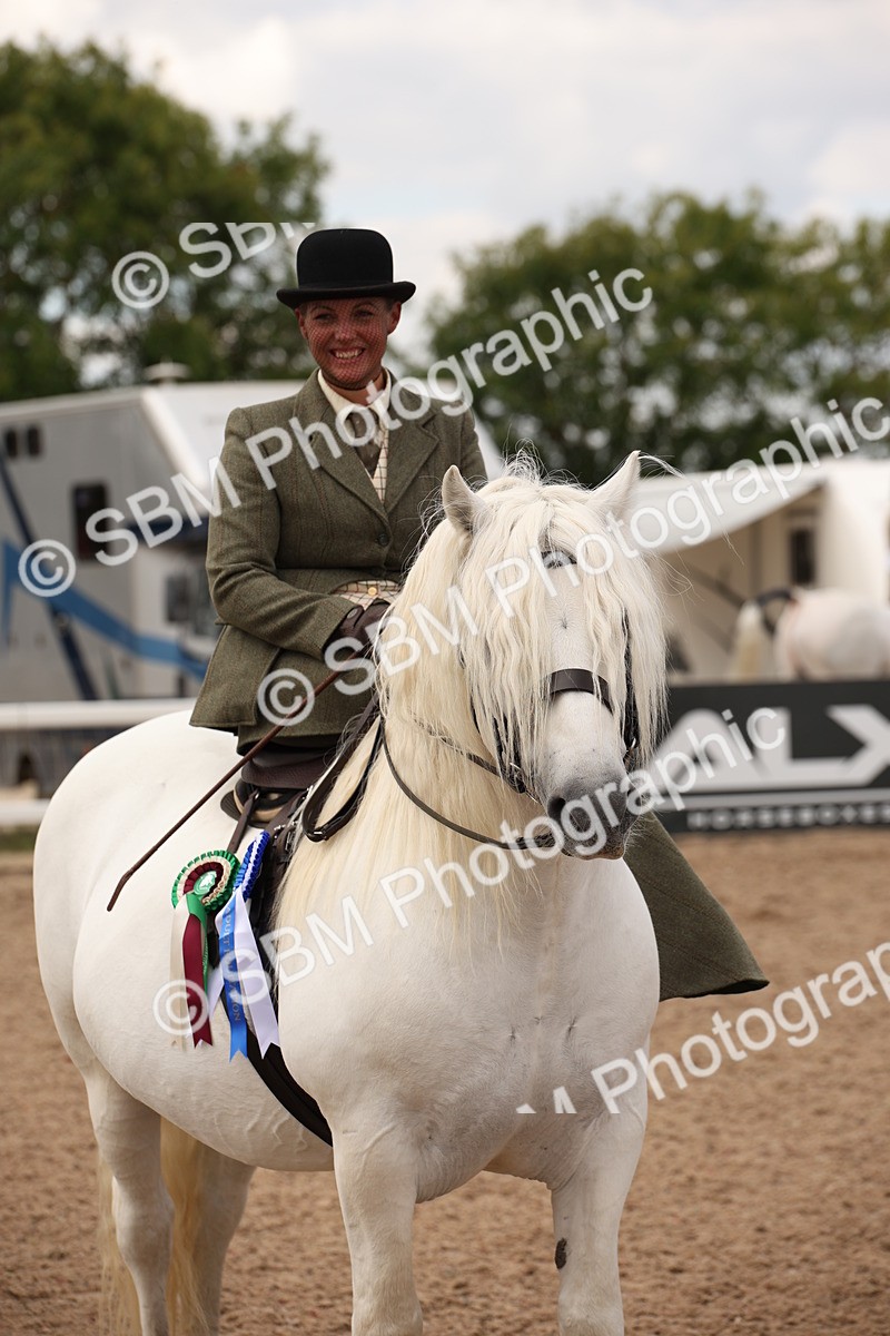 SBM_05513 - Class 22 SSA Equitation