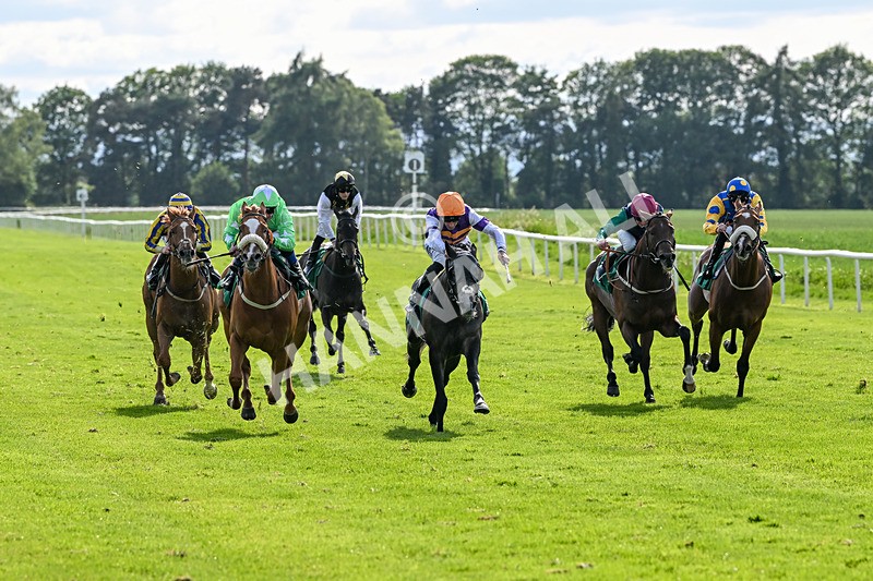 060625-Race 8-Arabian Cobra-5682 - Race 8